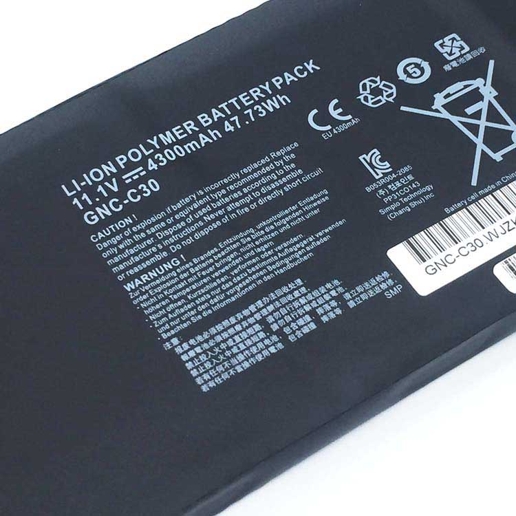 GIGABYTE GNC-C30 battery