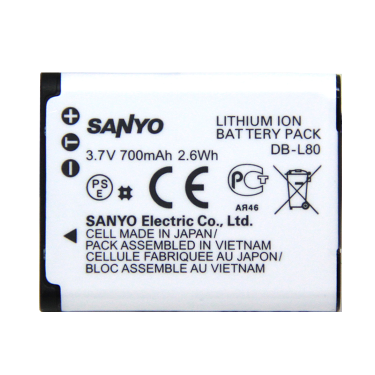 SANYO DB-L80 battery